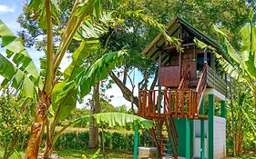 Pride Rock Villa & Tree House
